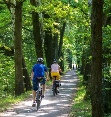 people riding bicycle on road between green trees during daytime